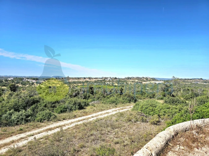 Terreno para Venda em Alcantarilha e Pêra Foto 14