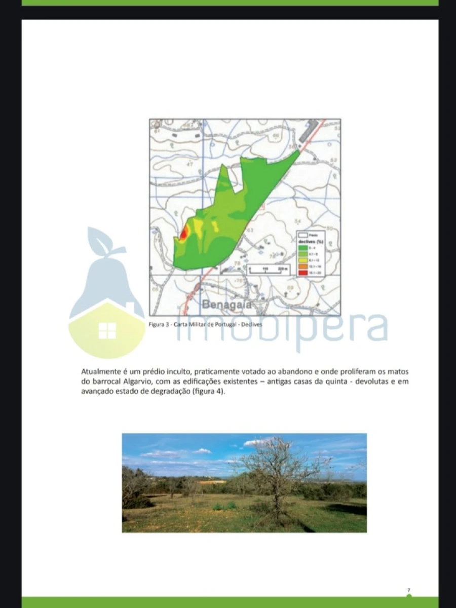 Terreno para Venda em Alcantarilha e Pêra Foto 18