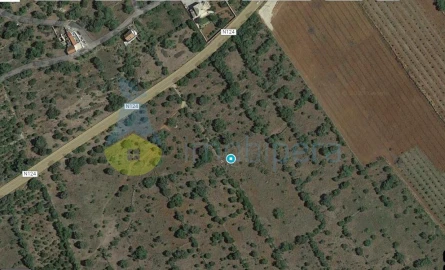 Terreno Agricola ou Rústico para Venda em São Bartolomeu de Messines
