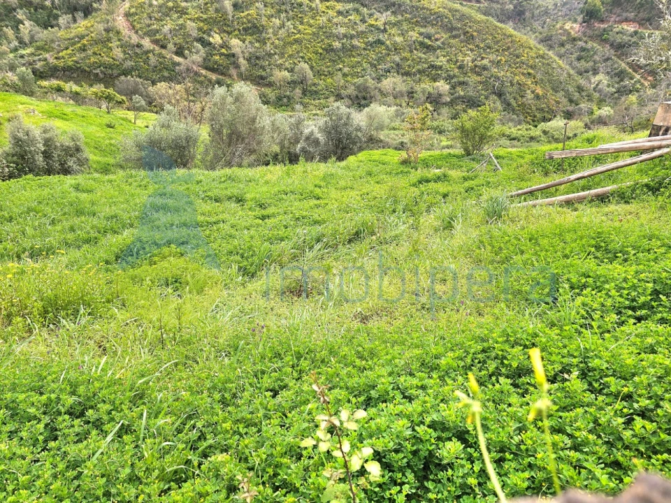 Armazém para Venda em Alferce Foto 2
