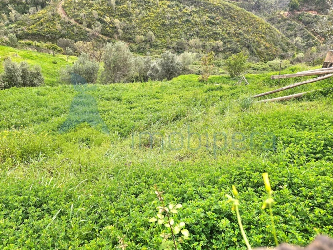 Armazém para Venda em Alferce Foto 2