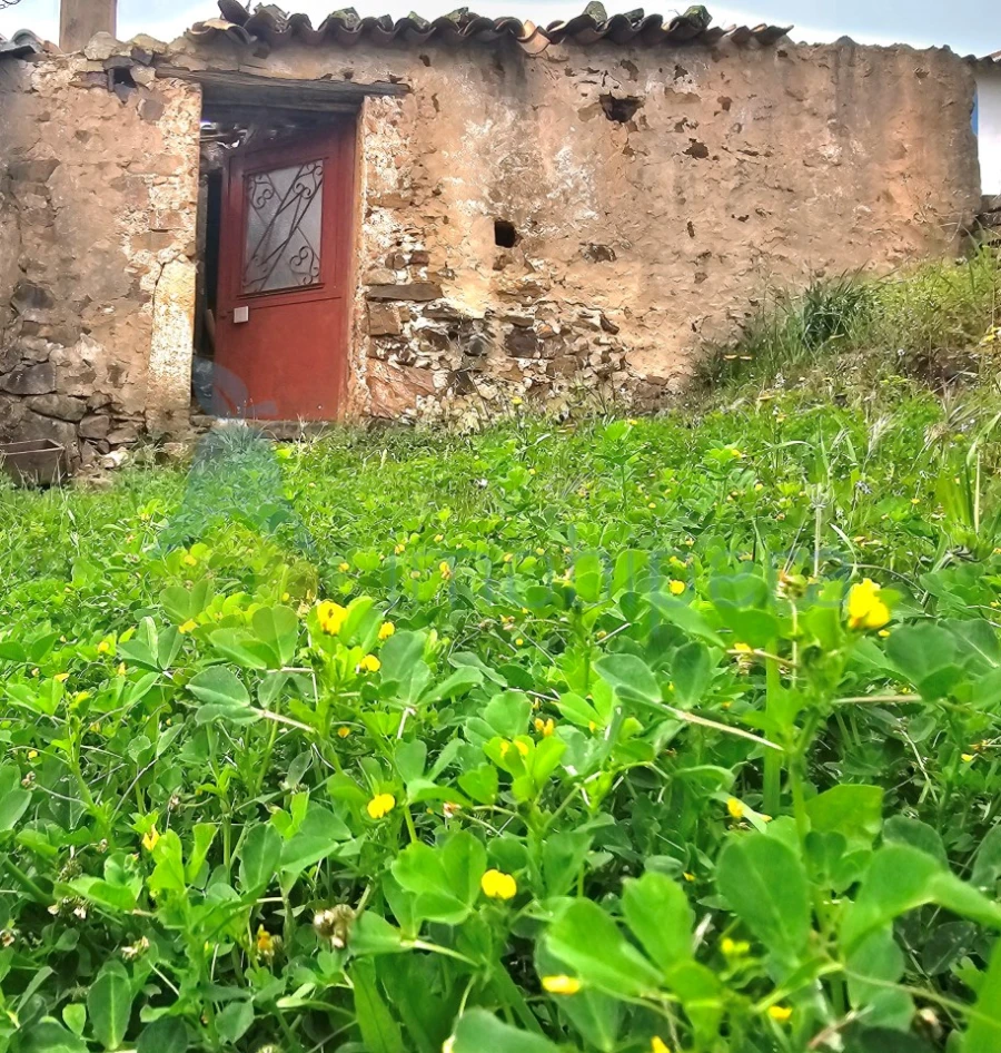 Armazém para Venda em Alferce Foto 11