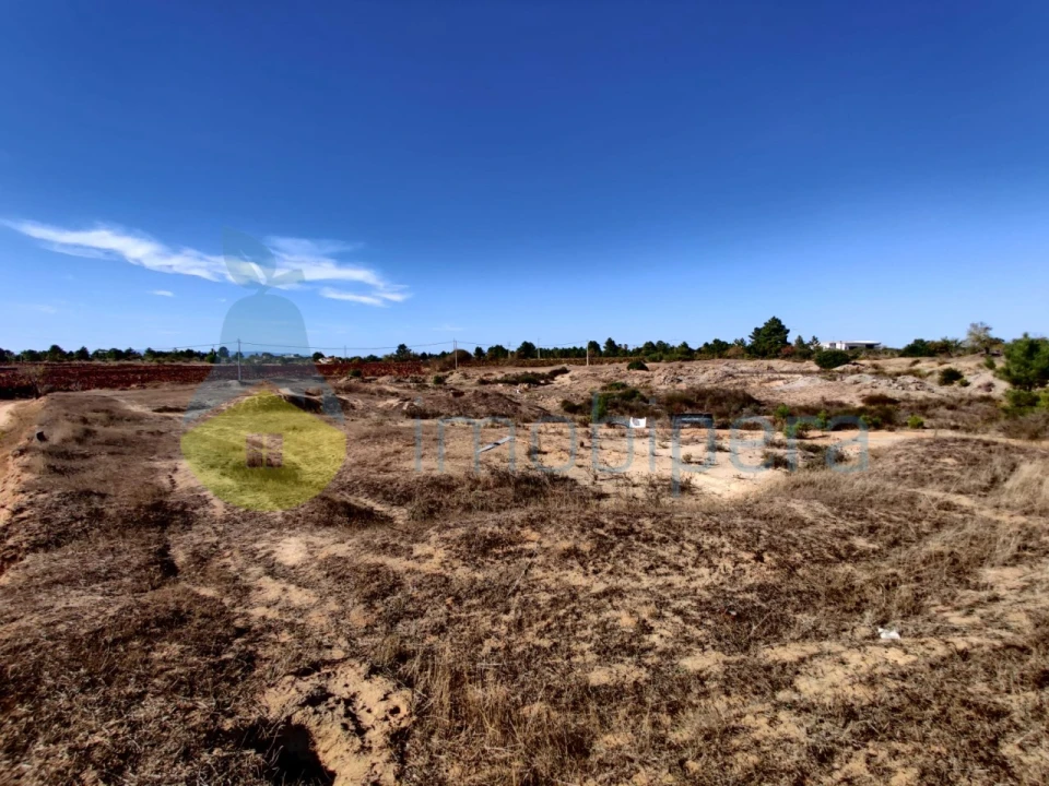 Terreno Misto para Venda em Alcantarilha e Pêra Foto 5