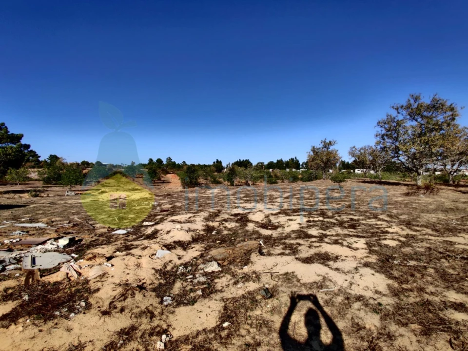 Terreno Misto para Venda em Alcantarilha e Pêra Foto 6