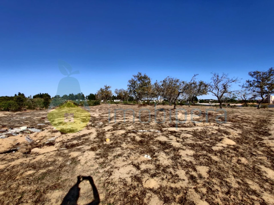 Terreno Misto para Venda em Alcantarilha e Pêra Foto 7