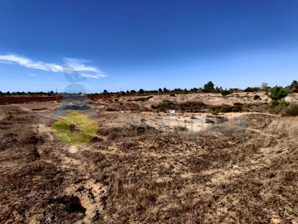 Terreno Misto para Venda em Alcantarilha e Pêra Foto 9