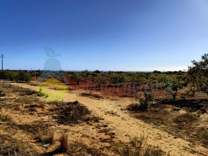 Terreno Misto para Venda em Alcantarilha e Pêra Foto 8