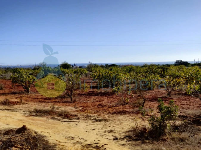 Terreno Misto para Venda em Alcantarilha e Pêra Foto 10