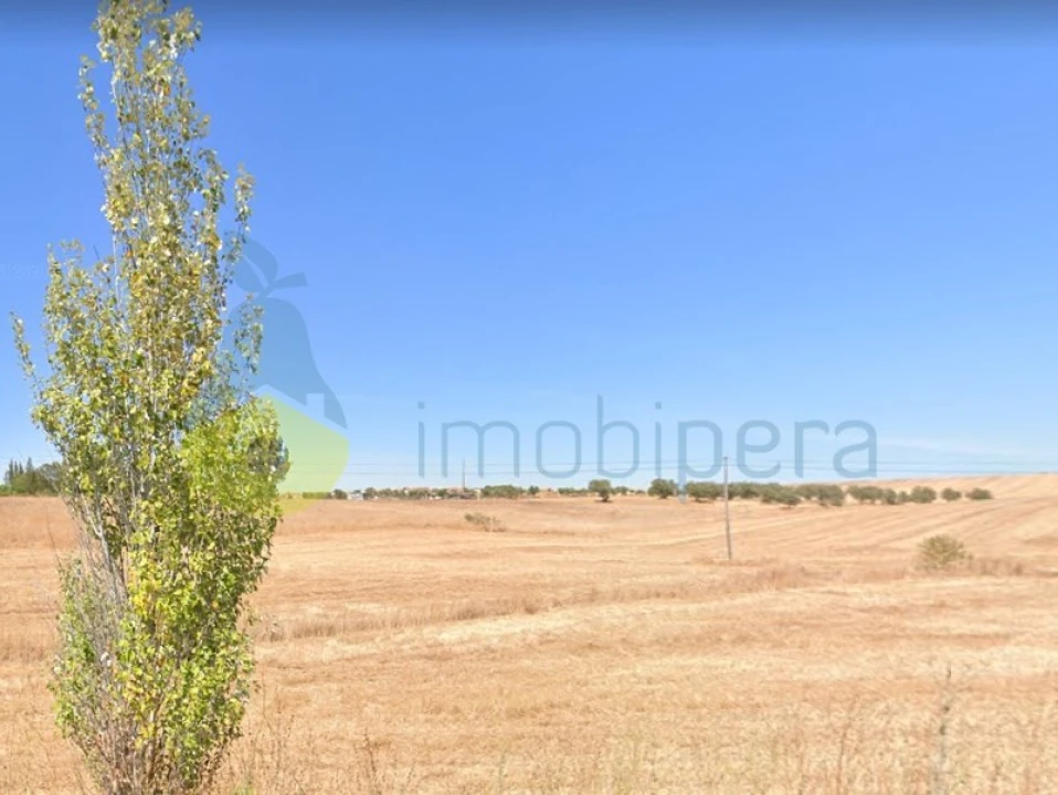 Terreno Agricola ou Rústico para Venda em Aljustrel e Rio de Moinhos Foto 2