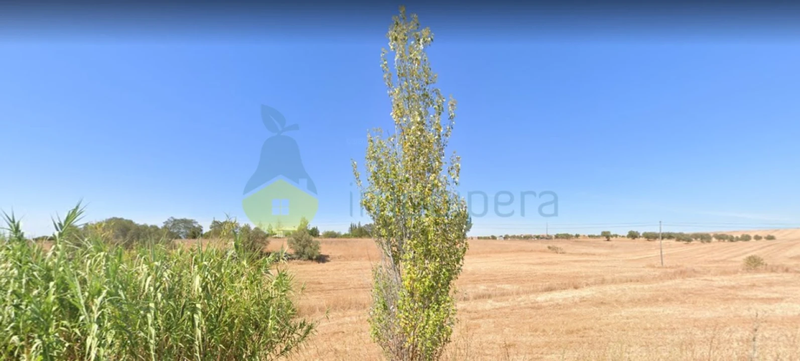 Terreno Agricola ou Rústico para Venda em Aljustrel e Rio de Moinhos Foto 3