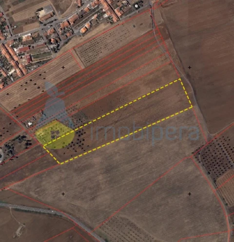 Terreno Agricola ou Rústico para Venda em Aljustrel e Rio de Moinhos