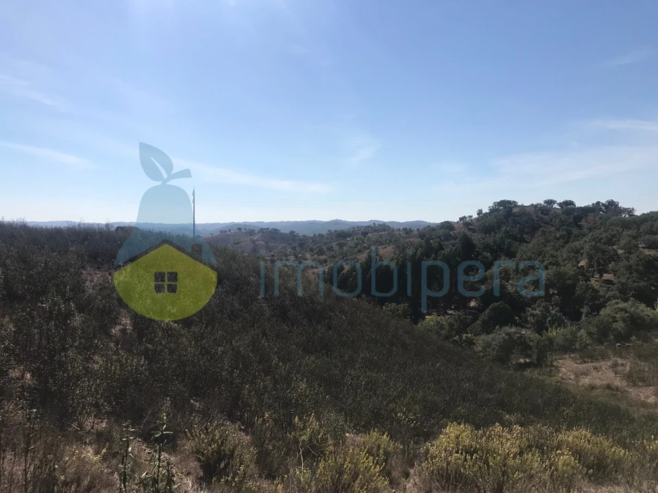 Moradia T5 para Venda em Santana da Serra Foto 27