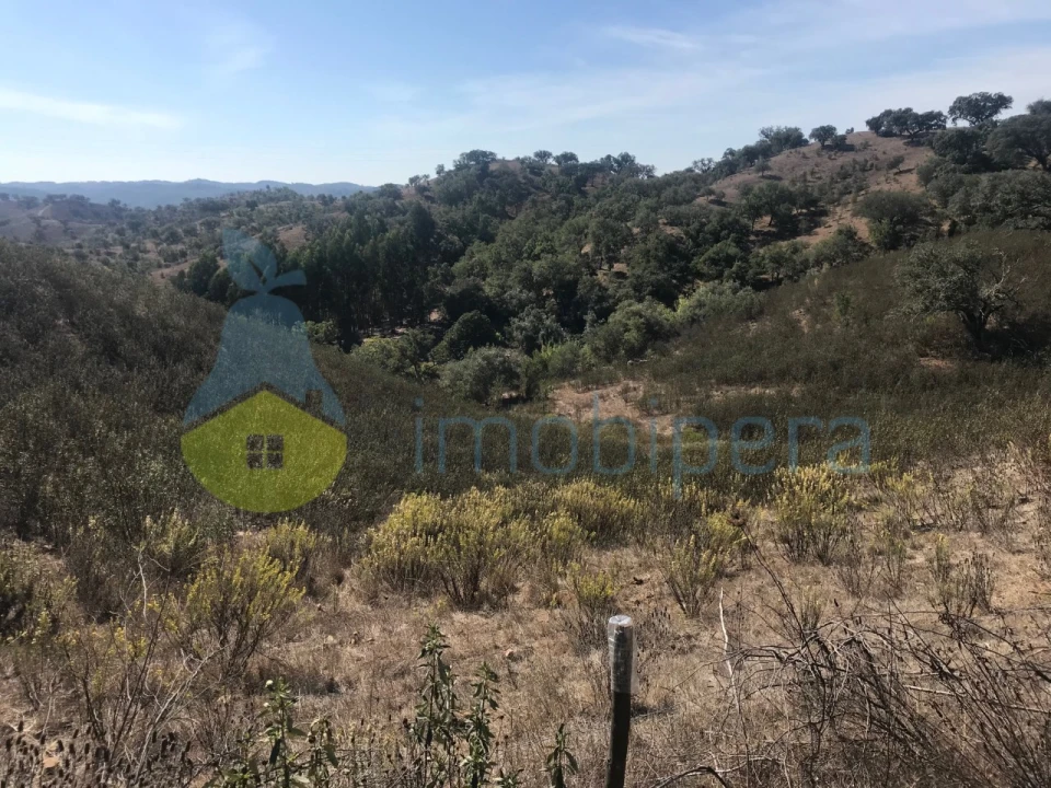 Moradia T5 para Venda em Santana da Serra Foto 28