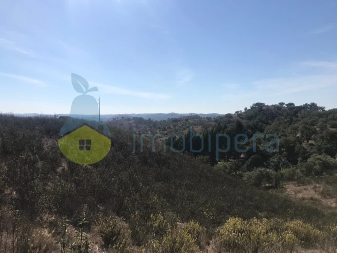 Moradia T5 para Venda em Santana da Serra Foto 27