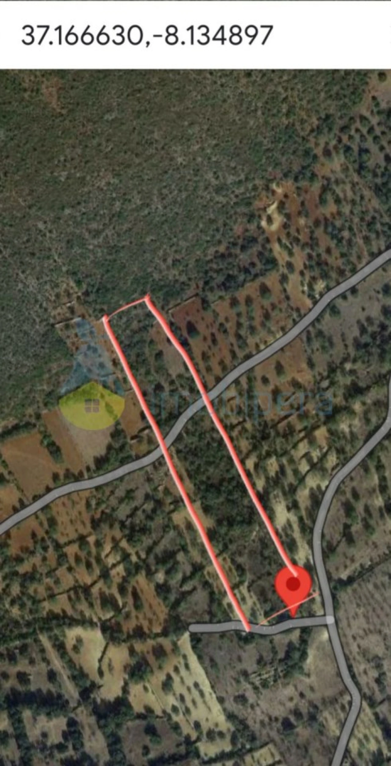 Terreno Agricola ou Rústico para Venda em Boliqueime Foto 5