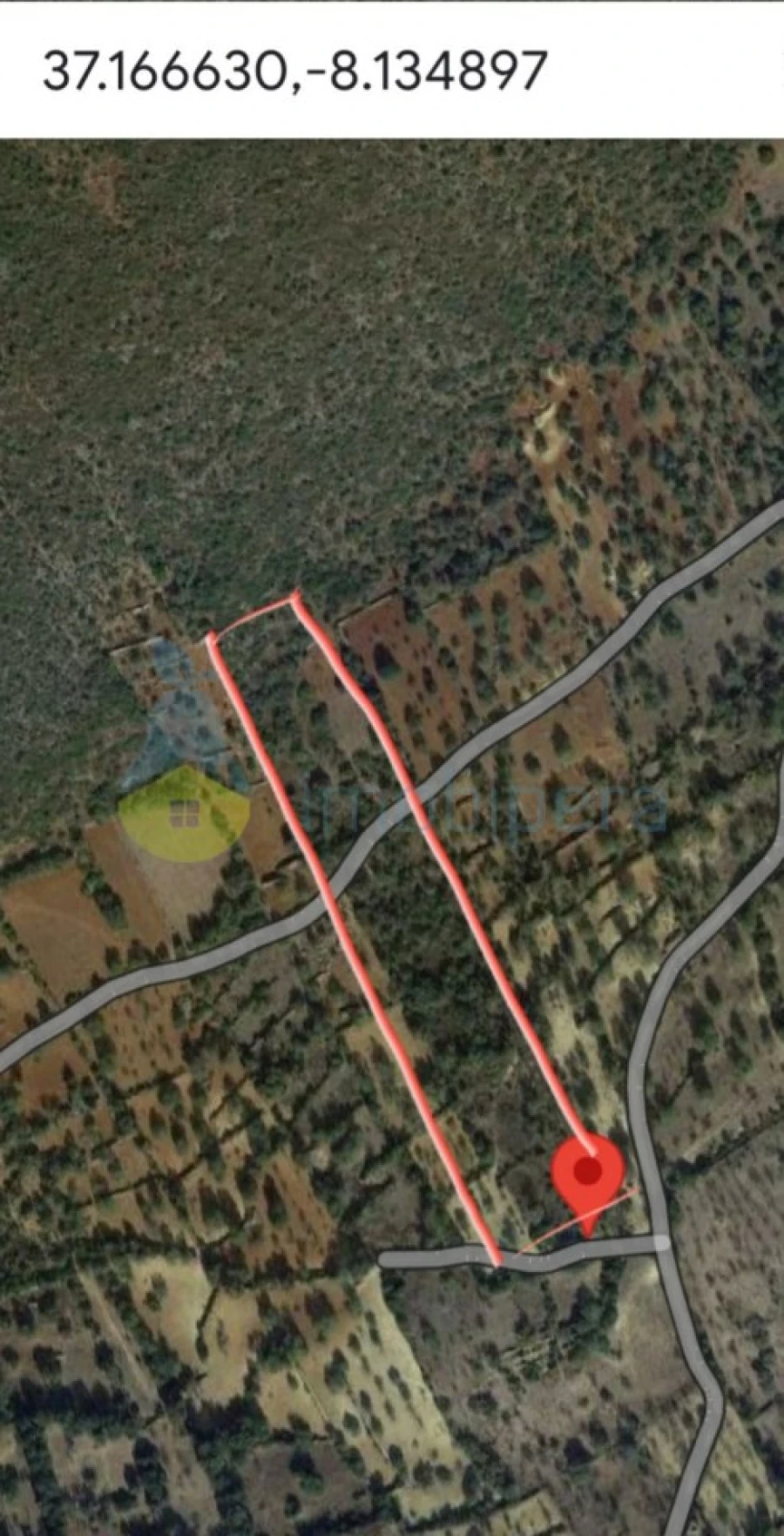 Terreno Agricola ou Rústico para Venda em Boliqueime Foto 5