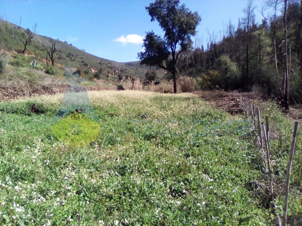 Terreno Agricola ou Rústico para Venda em Monchique Foto 1