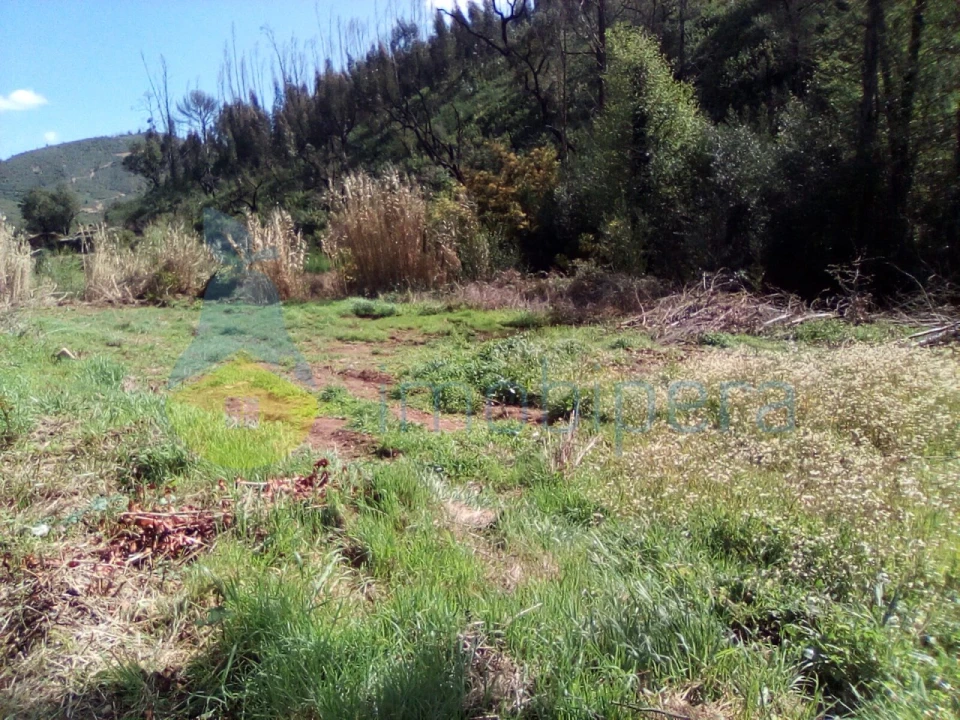 Terreno Agricola ou Rústico para Venda em Monchique Foto 2