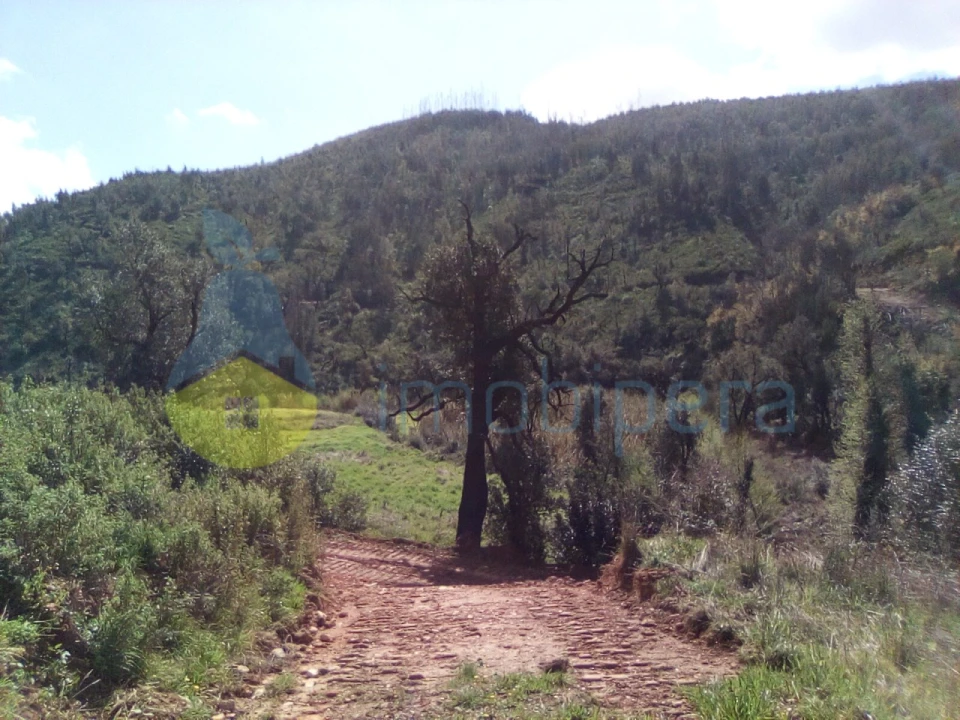 Terreno Agricola ou Rústico para Venda em Monchique Foto 8