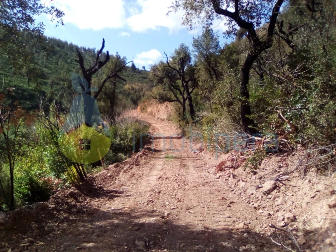 Terreno Agricola ou Rústico para Venda em Monchique Foto 7