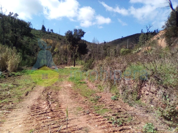 Terreno Agricola ou Rústico para Venda em Monchique Foto 6