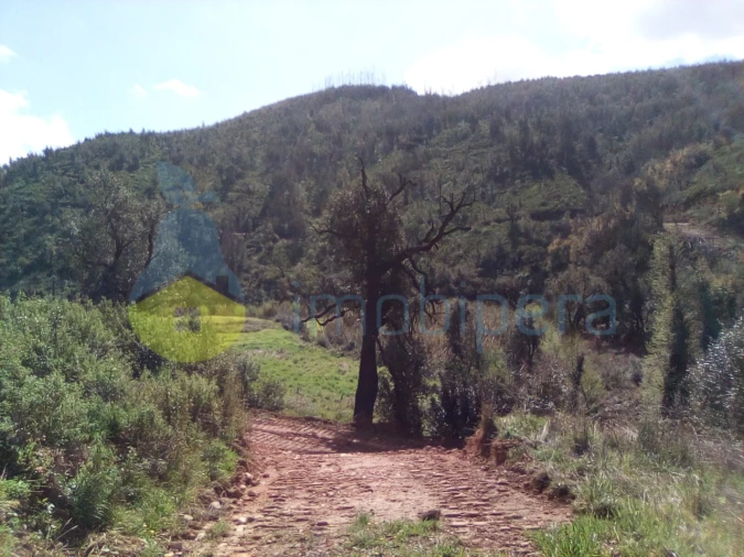 Terreno Agricola ou Rústico para Venda em Monchique Foto 8