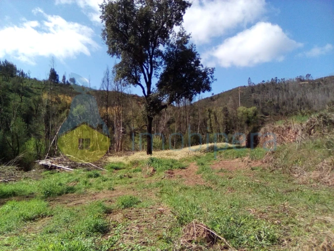 Terreno Agricola ou Rústico para Venda em Monchique Foto 5