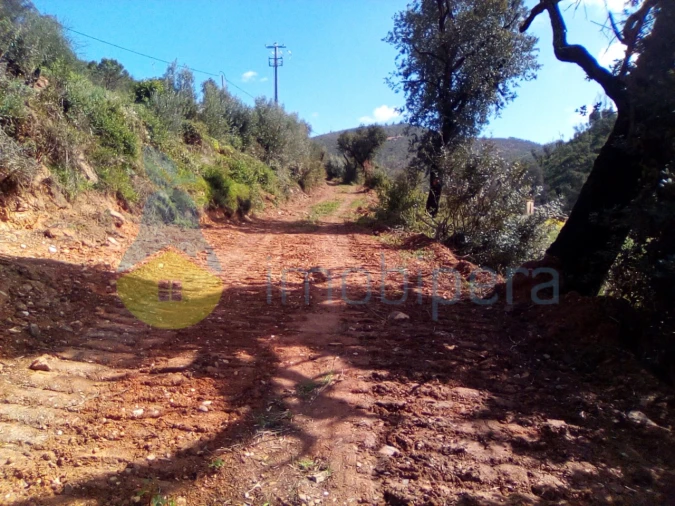 Terreno Agricola ou Rústico para Venda em Monchique Foto 9