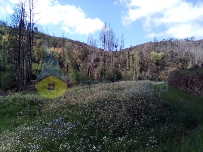 Terreno Agricola ou Rústico para Venda em Monchique Foto 3