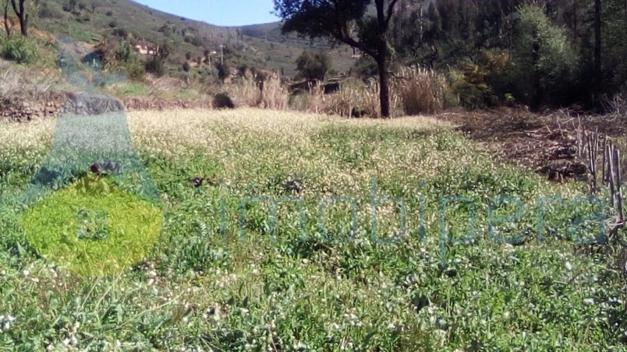 Terreno Agricola ou Rústico para Venda em Monchique