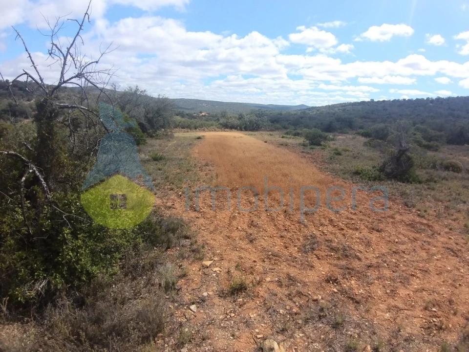 Terreno Agricola ou Rústico para Venda em Boliqueime Foto 2