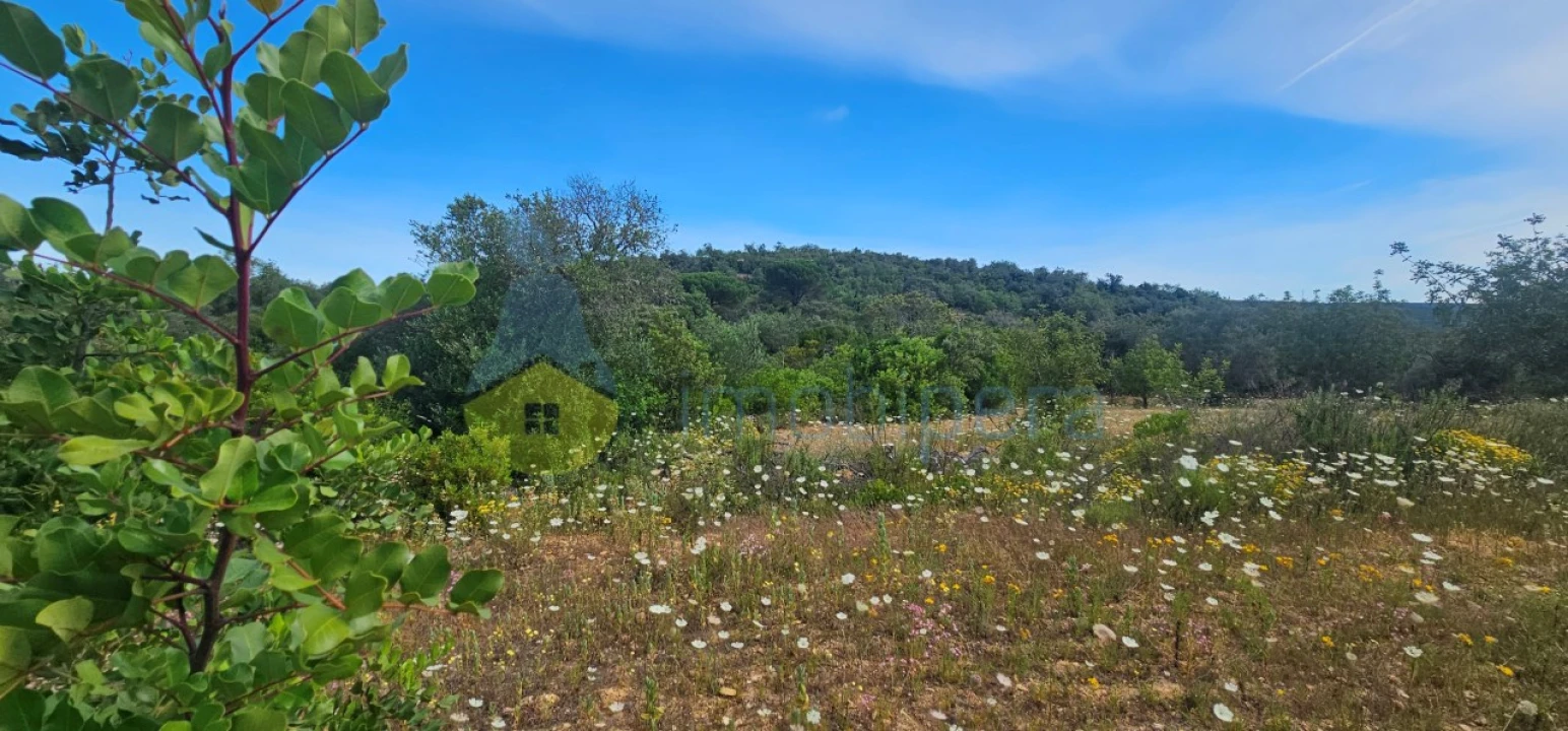 Terreno Agricola ou Rústico para Venda em Boliqueime Foto 2