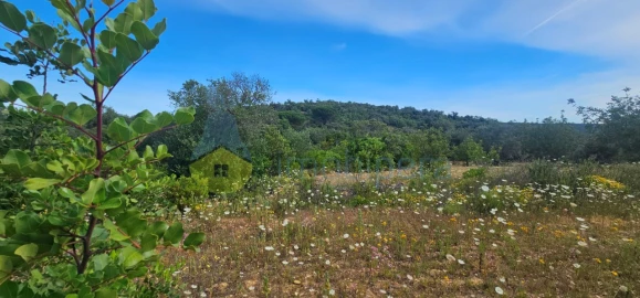 Terreno Agricola ou Rústico para Venda em Boliqueime