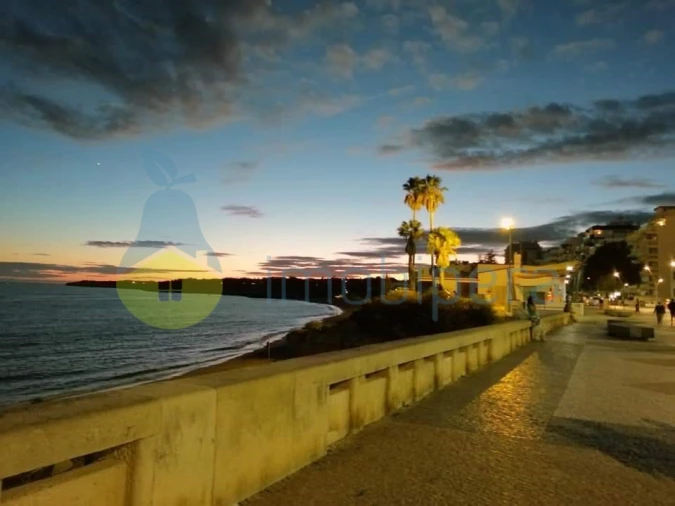 Terreno Agricola ou Rústico para Venda em Alcantarilha e Pêra Foto 7