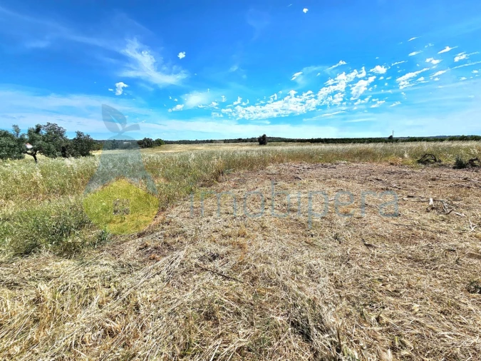 Terreno Agricola ou Rústico para Venda em Alcantarilha e Pêra Foto 3