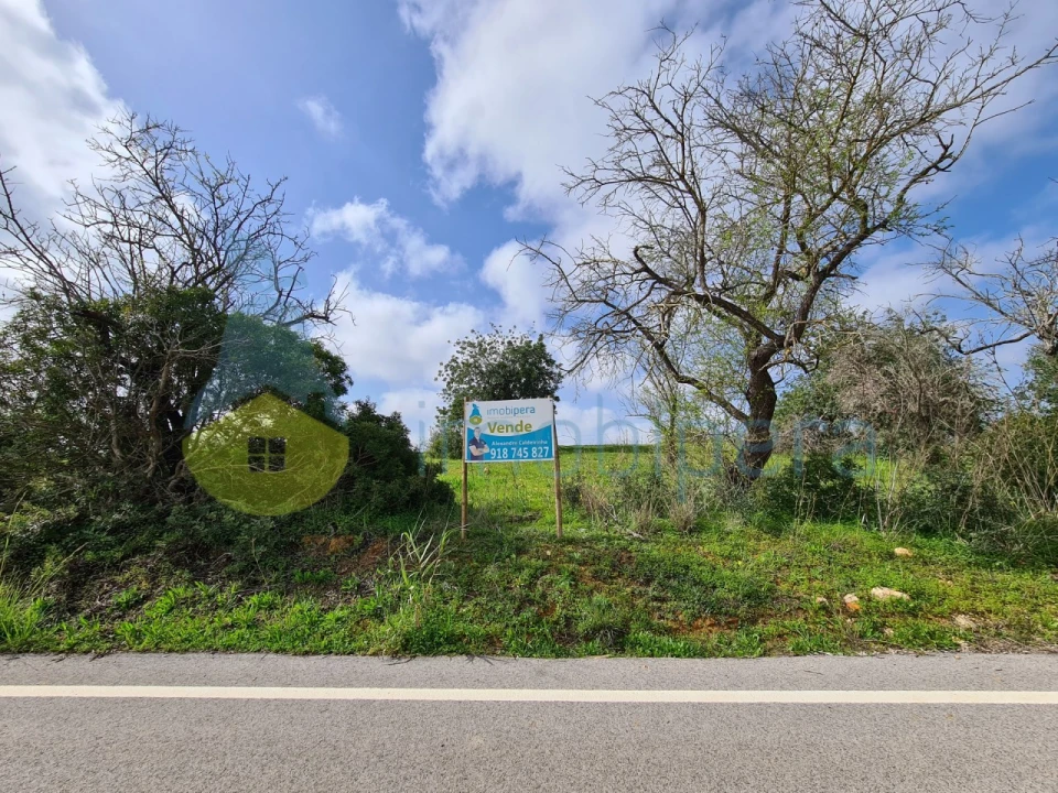 Terreno Agricola ou Rústico para Venda em Ferreiras Foto 1