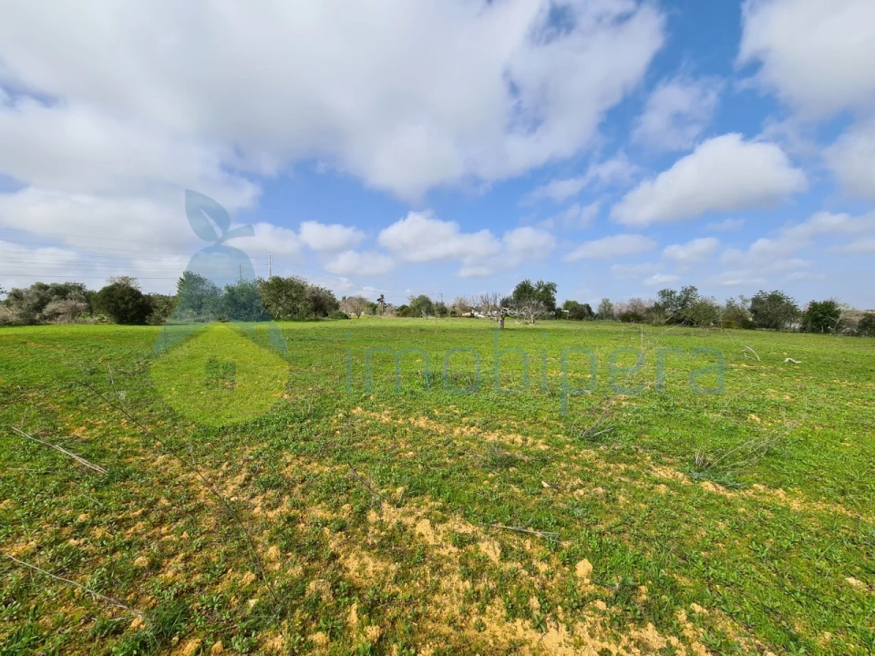 Terreno Agricola ou Rústico para Venda em Ferreiras Foto 2