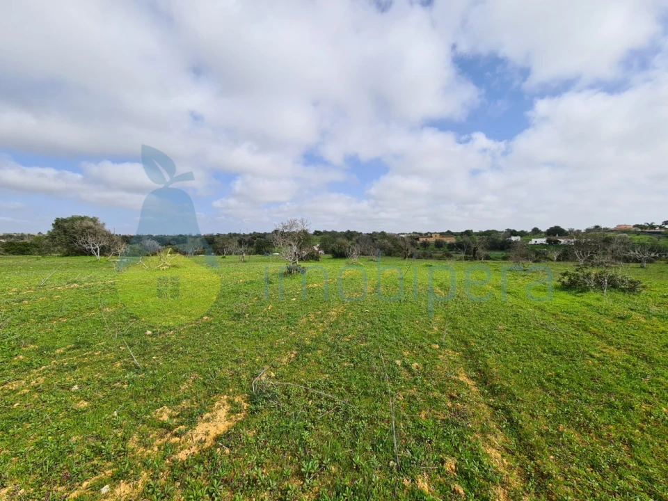 Terreno Agricola ou Rústico para Venda em Ferreiras Foto 3