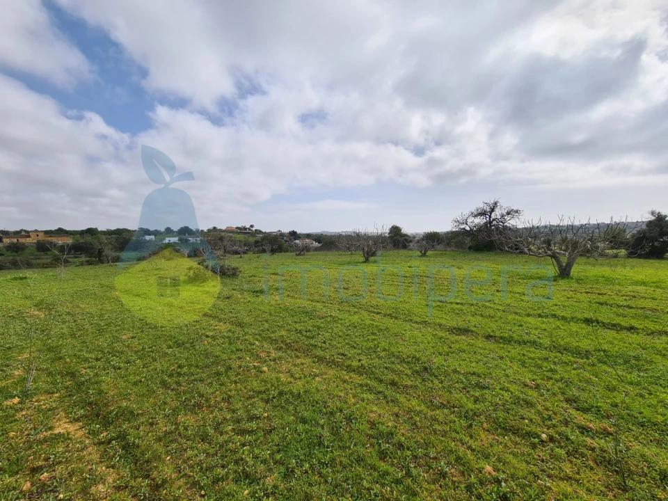 Terreno Agricola ou Rústico para Venda em Ferreiras Foto 4