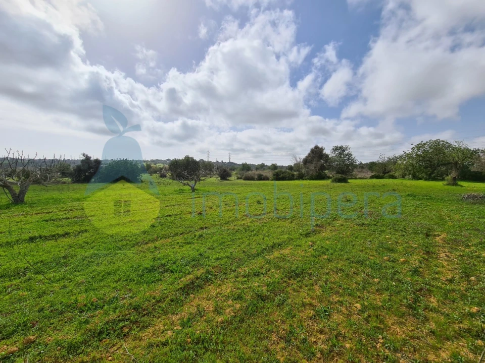 Terreno Agricola ou Rústico para Venda em Ferreiras Foto 5
