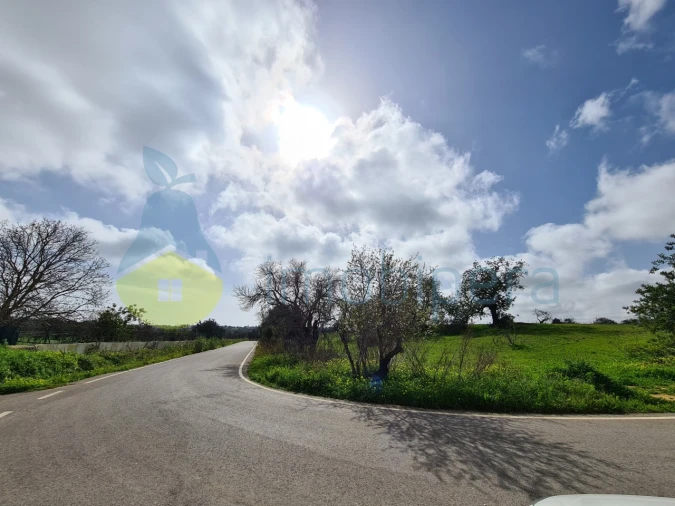Terreno Agricola ou Rústico para Venda em Ferreiras Foto 8
