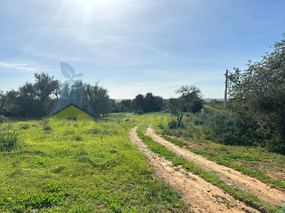 Terreno Agricola ou Rústico para Venda em Alcantarilha e Pêra Foto 2