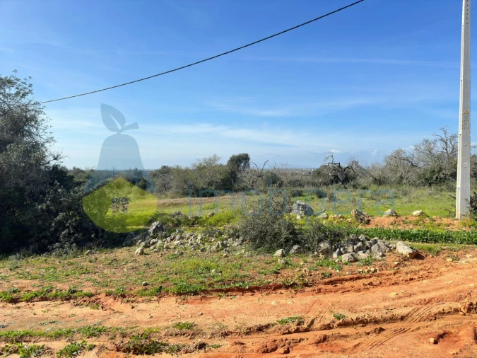 Terreno Agricola ou Rústico para Venda em Alcantarilha e Pêra Foto 3