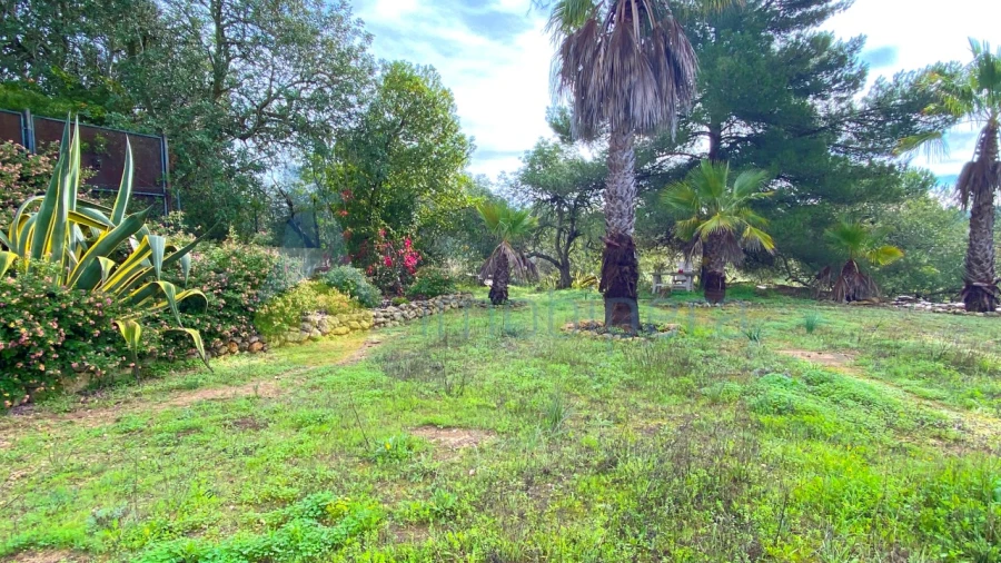 Quinta T3 para Venda em Estômbar e Parchal Foto 18