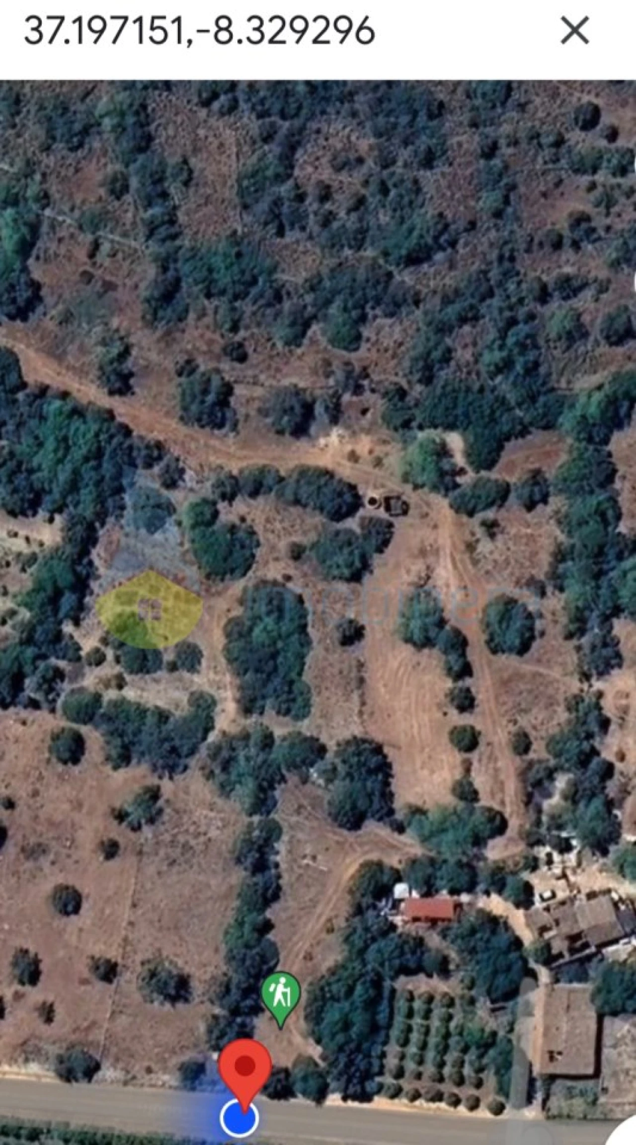Terreno Agricola ou Rústico para Venda em Alcantarilha e Pêra Foto 12