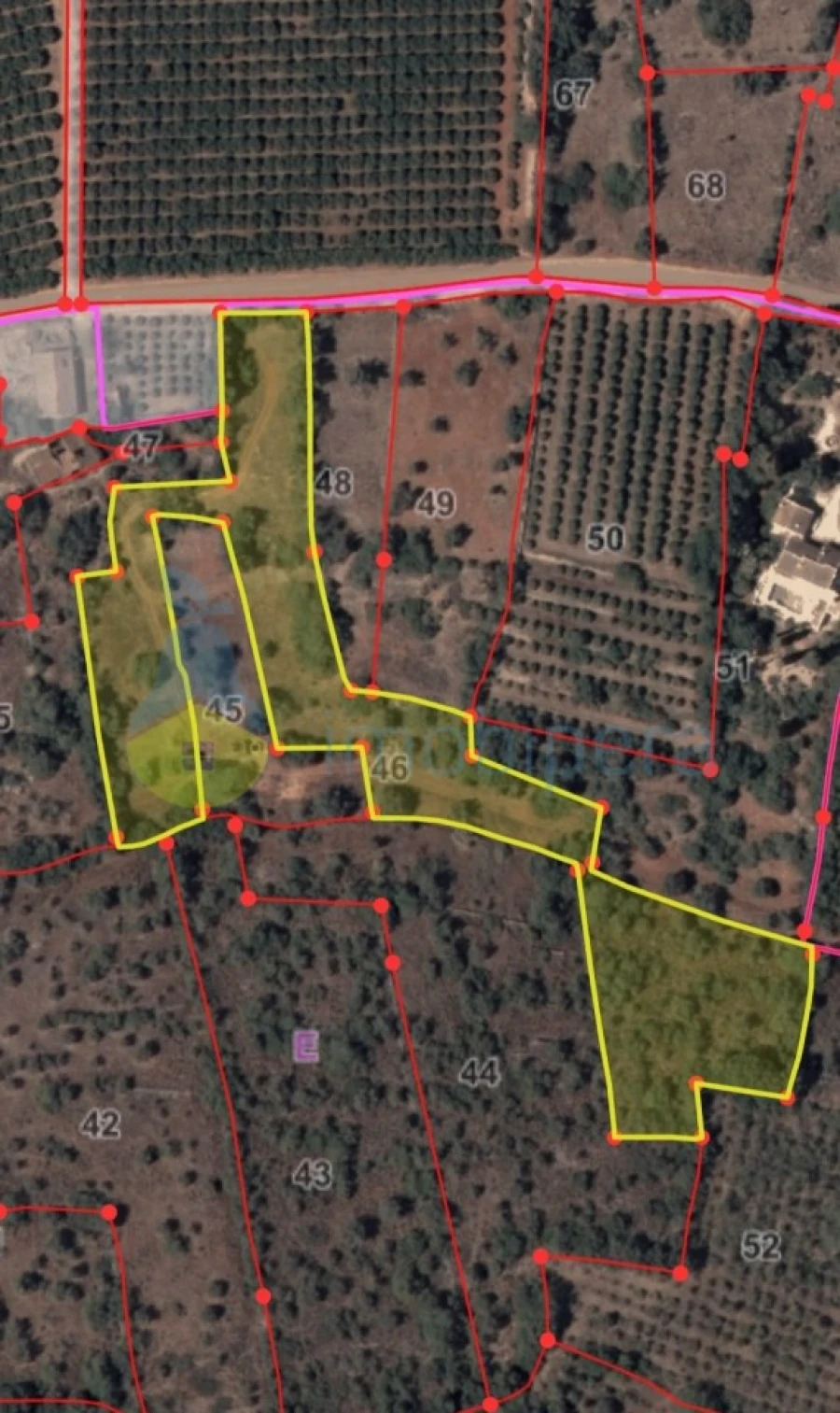 Terreno Agricola ou Rústico para Venda em Alcantarilha e Pêra Foto 11