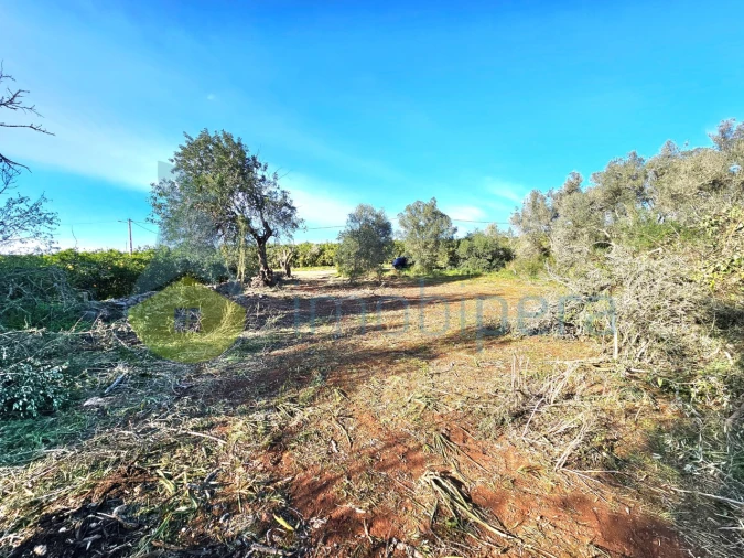 Terreno Agricola ou Rústico para Venda em Alcantarilha e Pêra Foto 4