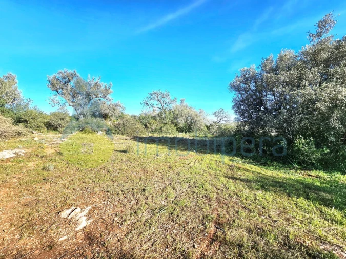 Terreno Agricola ou Rústico para Venda em Alcantarilha e Pêra Foto 8