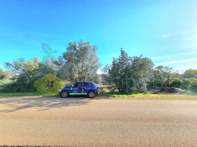 Terreno Agricola ou Rústico para Venda em Alcantarilha e Pêra Foto 1