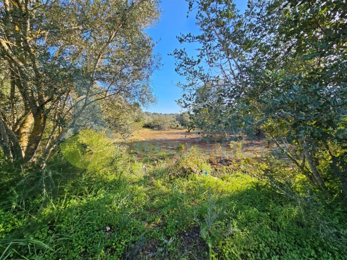 Terreno Agricola ou Rústico para Venda em Alcantarilha e Pêra Foto 10